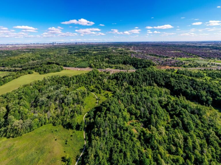 New Kleinburg Neighborhood 3